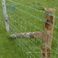 Cheap farm discount build field fence